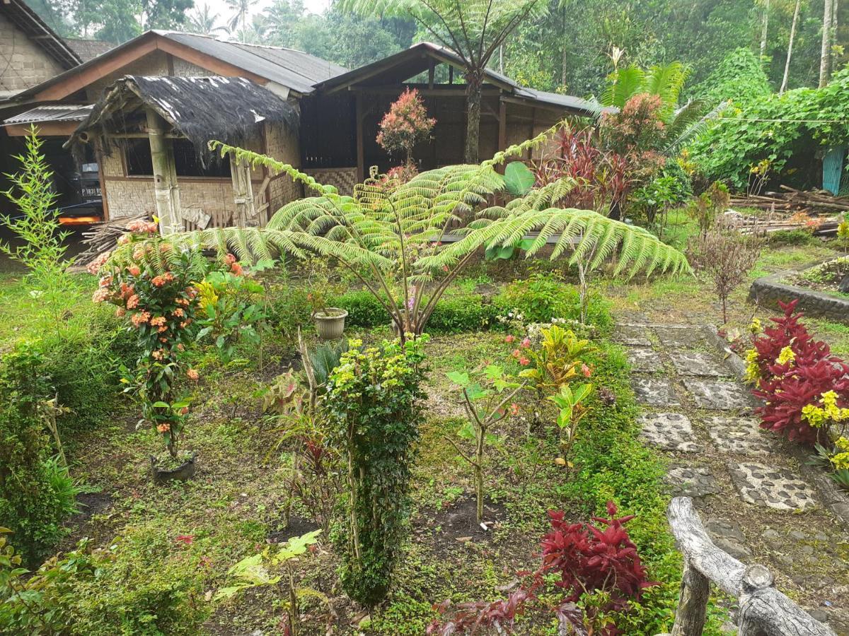 Ijen Miner Family Homestay Banyuwangi  Dış mekan fotoğraf