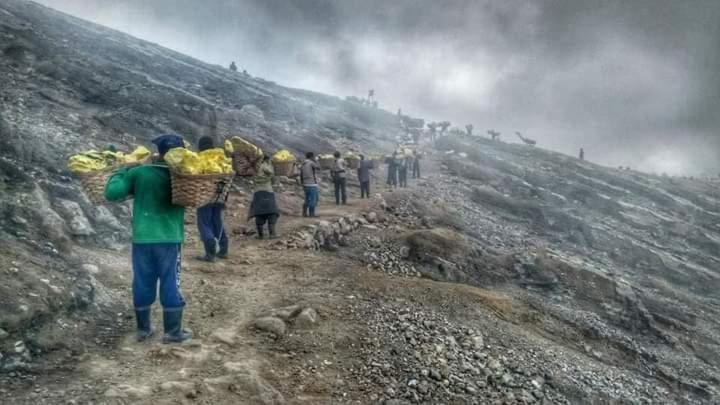 Ijen Miner Family Homestay Banyuwangi  Dış mekan fotoğraf