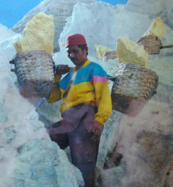 Ijen Miner Family Homestay Banyuwangi  Dış mekan fotoğraf